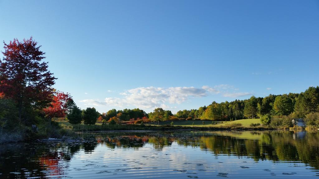 Barry's Bay Golf 2* Barrys Bay